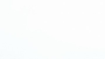 la policía determinó que Hersheypark cumplía con todos los estándares de seguridad requeridos por la ley.