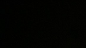 Un testigo relató que el excursionista habría recogido a la serpiente, lo que provocó la mordida.