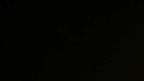 Un testigo relató que el excursionista habría recogido a la serpiente, lo que provocó la mordida.