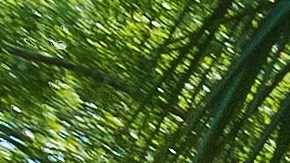 las autoridades confirmaron que no había evidencia de disparos ni presencia de un atacante armado.