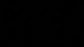 Los canales de Fox podrían desaparecer de la lista de Youtube TV si ambas compañías no alcanzan un acuerdo