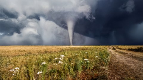 El invento de Rao le hizo merecedor del premio Paradigm Challenge, el International Young Eco-Hero y fue nombrado Campeón Nacional STEM