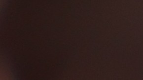 más de 300 animales fueron rescatados y reubicados en santuarios o instalaciones especializadas de rescate.