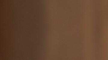 Entre lo robado se encuentran relojes Rolex valorados en aproximadamente 750.000 dólares