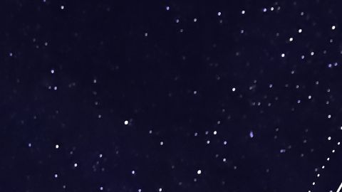 Estos signos son desconfiados por naturaleza.