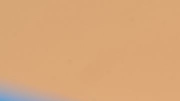 Soñar con pulgas tiene diversos significados.