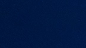 El hombre fue mordido por un tiburón limón, llamado así por el color amarillento de su dorso.