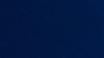 El hombre fue mordido por un tiburón limón, llamado así por el color amarillento de su dorso.