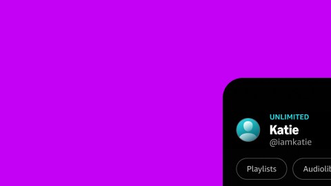 Insights puede mostrarle al usuario detalles sobre sus hábitos de escucha al tiempo que ofrece resúmenes mensuales de los artistas que escuchó