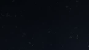 Virgo es el sexto signo del zodiaco.