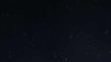 Virgo es el sexto signo del zodiaco.