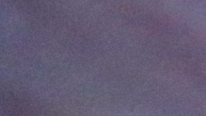 Los bonos se emitirían a visitantes de países con tasas significativas de estadías prolongadas.