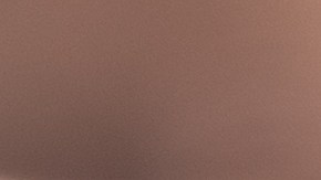 ¿Tienes una moneda de 1 dólar antigua Podría valer más de lo que imaginas