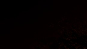 Los personajes del parque están usando trajes especiales de Halloween.