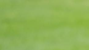 Donald Trump, presidente de Estados Unidos.