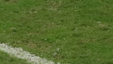 Paraguay's Derlis Gonzalez reacts after missing a penalty kick during a Copa America quarterfinal soccer match against Brazil at the Arena do Gremio in Porto Alegre, Brazil, Thursday, June 27, 2019. (AP Photo/Ricardo Mazalan)