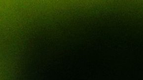 La Copa del Mundo se disputará entre el 11 de junio y el 19 de julio.