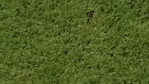 Argentina's Lionel Messi, dribbles past Mexico's Luis Chavez during the World Cup group C soccer match between Argentina and Mexico, at the Lusail Stadium in Lusail, Qatar, Saturday, Nov. 26, 2022. (AP Photo/Pavel Golovkin)