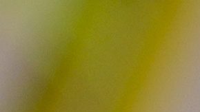 Sergio Pérez posa junto a Christian Horner en el 2024.