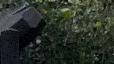 Guillermo Ochoa actualmente es agente libre.