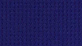 Miguel Herrera, seleccionador de Costa Rica.