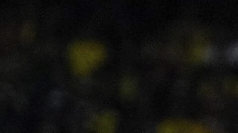 La Comisión Disciplinaria de la FIFA tomó la decisión de suspender a los futbolistas.