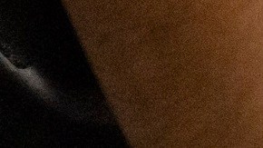 Silvia presentó una denuncia contra el trabajador de BI Incorporated y contra la misma compañía.