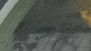 Miguel Herrera seguirá para las próximas jornadas de eliminatorias al Mundial de 2026.