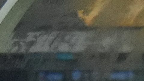 Miguel Herrera seguirá para las próximas jornadas de eliminatorias al Mundial de 2026.