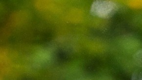 La bandera de Palestina ondea en un evento en Londres.