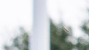 Trump niega una guerra con Chicago y afirma que EE.UU. "limpiará" sus ciudades