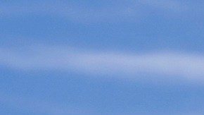 La Administración Trump busca integrar información migratoria con IRS y SSA.