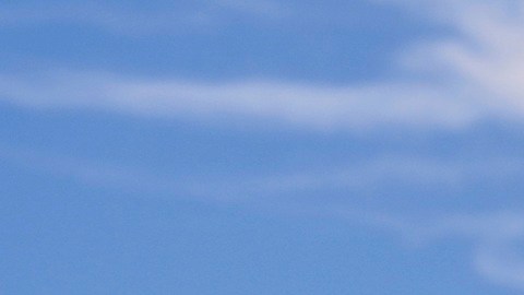 La Administración Trump busca integrar información migratoria con IRS y SSA.