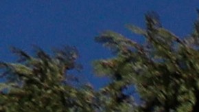 Los cuatro soldados pertenecían al 160º Regimiento de Aviación de Operaciones Especiales, conocido como los Acechadores Nocturnos