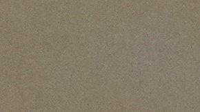 La escritora expresó su apoyo a la comunidad inmigrante.