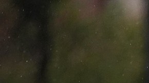 La Policía de Dallas lidera la investigación del tiroteo en centro de ICE.