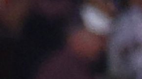 The Detroit Tigers celebrate after defeating the Boston Red Sox and clinching a spot in the playoffs, Saturday, Sept. 27, 2025, in Boston. (AP Photo/Mark Stockwell)