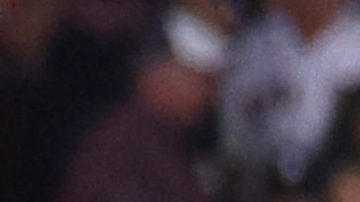 The Detroit Tigers celebrate after defeating the Boston Red Sox and clinching a spot in the playoffs, Saturday, Sept. 27, 2025, in Boston. (AP Photo/Mark Stockwell)