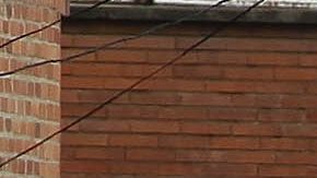 La tragedia sucedió en una carrera de Colombia.