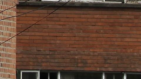 La tragedia sucedió en una carrera de Colombia.