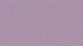 Actor de ‘Emily in Paris’ afirmó que la nueva temporada tiene giros inesperados: "Abróchense los cinturones"