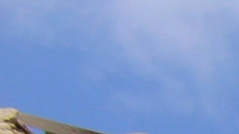 El epicentro del terremoto se registró en la provincia de Kunar, donde aldeas enteras resultaron gravemente afectadas.