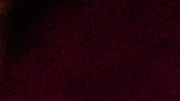 Ariana Grande critica a los votantes de Trump y recibe respuesta de la Casa Blanca