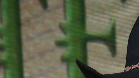 Árbol se desploma sobre el auto de Arturo Carmona: esto fue lo que pasó