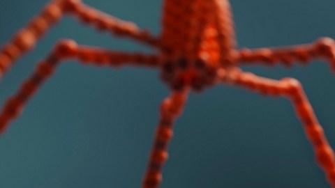 ¡Fagoterapia al rescate! Para combatir a superbacterias que amenazan con matar a millones de personas para 2050