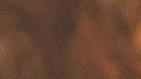 Barack Obama, expresidente estadounidense