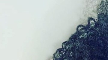 Barbara Marques ha sido detenida por ICE desde septiembre.
