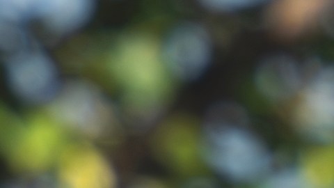 Barnes & Noble anuncia a sus lectores la apertura de otras 30 tiendas para este año
