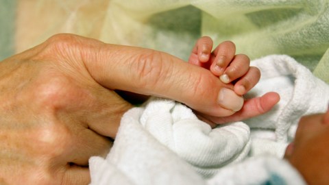 An infant grasps volunteer Kathleen Jones' hand in the neonatal intensive care unit at the University of Chicago's Comer Children's Hospital in Chicago on Wednesday, Feb. 19, 2014. Jones, 52, is one of several people who volunteer to cuddle babies at the hospital. Research shows that cuddling helps calm the babies, many who are born prematurely or who have serious health issues, and aids in their early development. (AP Photo/Martha Irvine)