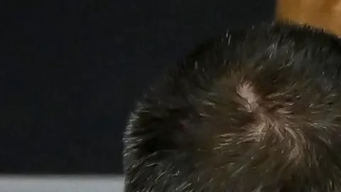 Canelo Álvarez vs. Terence Crawford